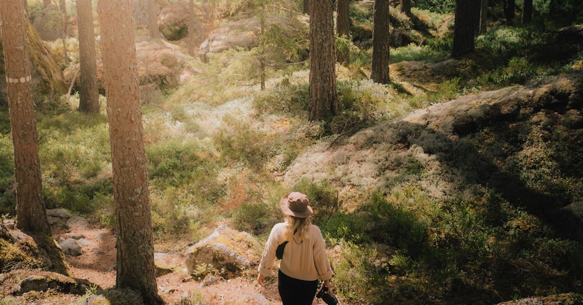 Frau wandert durch den Wald, Symbolbild für Digital Detox bei Liebeskummer