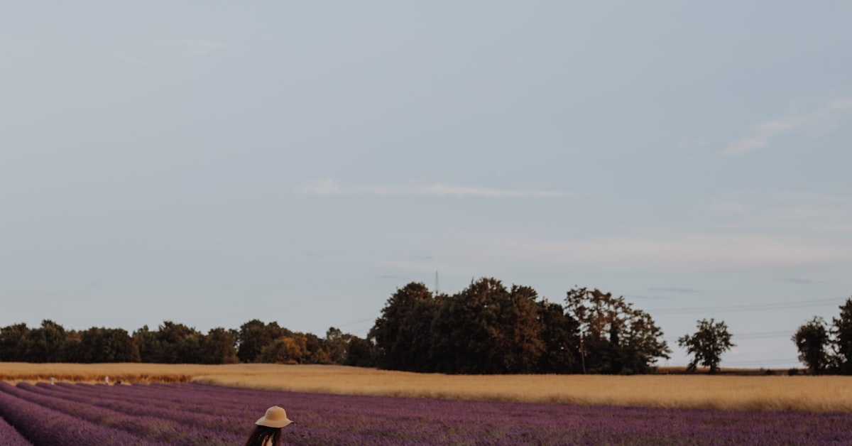 Frau in einem Lavendelfeld als Symbol für Aromatherapie bei Liebeskummer